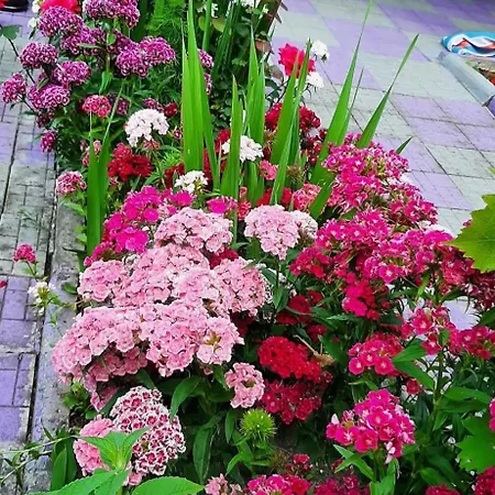 Old Town 2, Center ,parking Daire